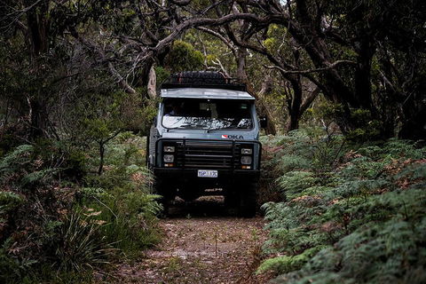 Phillip Island And French Island Wildlife Expedition - Kingaroy Accommodation 4