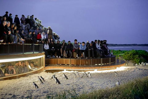 Phillip Island And French Island Wildlife Expedition - Kingaroy Accommodation 5