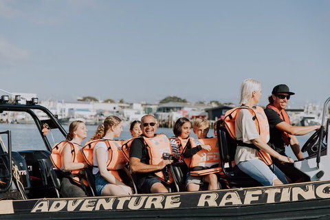 Adventure Whale Watching Tour Mooloolaba - Kingaroy Accommodation 4