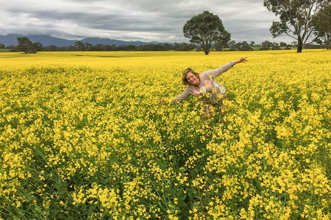 Grampians - Private Tour - Kingaroy Accommodation 3