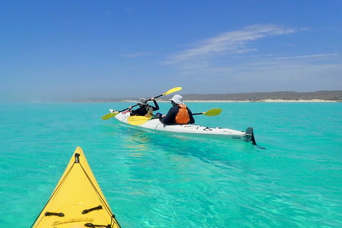 Lagoon Explorer - Ningaloo Reef Full-Day Kayaking And Snorkeling Adventure - Kingaroy Accommodation 0