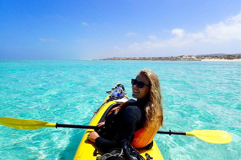 Lagoon Explorer - Ningaloo Reef Full-Day Kayaking And Snorkeling Adventure - Kingaroy Accommodation 1