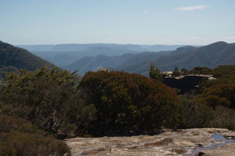 The Explorers' Discovery Tour - Gold, Wine & Wildlife - Kingaroy Accommodation 3