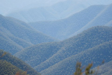 From The Mountains To The Bay - 4 Day Rediscovery Private Tour - Kingaroy Accommodation 1