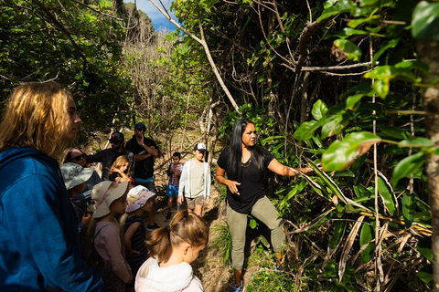 Cape Byron Aboriginal Tour - Kingaroy Accommodation 4