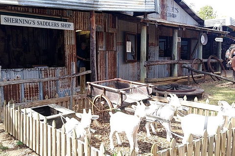 Full Day Atherton Tablelands Tour From Cairns - Kingaroy Accommodation 4