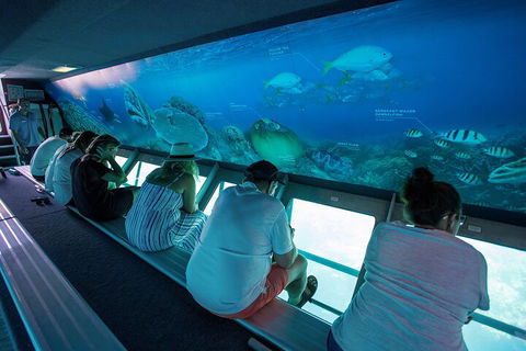 Great Barrier Reef Day Cruise To Reefworld - Kingaroy Accommodation 0