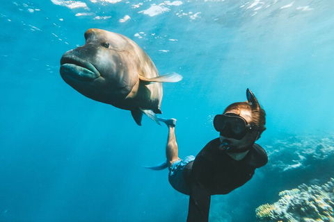 Great Barrier Reef Day Cruise To Reefworld - Kingaroy Accommodation 3