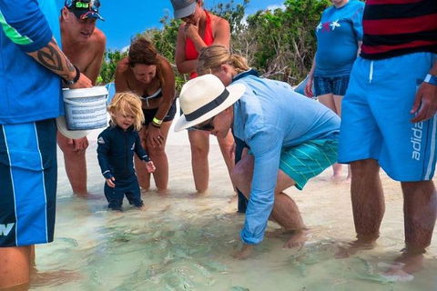 Whitehaven Beach And Hamilton Island Cruise - Kingaroy Accommodation 1
