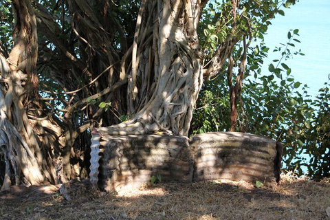 Darwin Walking Tour: World War II Reflections - Kingaroy Accommodation 3