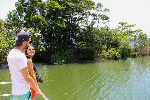 Cape Tribulation, Daintree Rainforest And Wildlife Tour - Kingaroy Accommodation 2