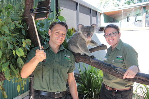 Virtual Interactive Australian Wildlife Tour With Private Guide-Wildlife Habitat - Kingaroy Accommodation 0