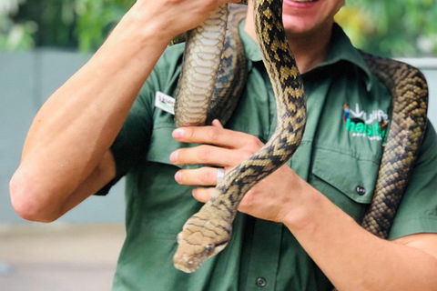 Virtual Interactive Australian Wildlife Tour With Private Guide-Wildlife Habitat - Kingaroy Accommodation 1