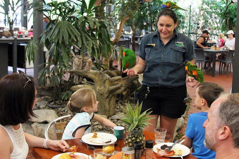 Wildlife Habitat Port Douglas - Kingaroy Accommodation 2