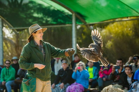 Full Day Kangaroo Island Sip And See Tour Departing From Kangaroo Island - Kingaroy Accommodation 1