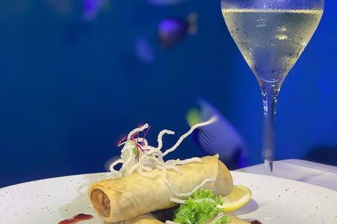 Cairns Aquarium And Small Group City Sightseeing Tour - Kingaroy Accommodation 5