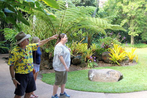 Cairns Shore Excursion: Cairns City Sights & Surrounds Tour - Kingaroy Accommodation 4