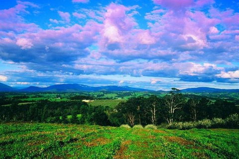 CHEVY CONVERTIBLE Package For 4 -Wine Lunch Cheese & Chocolate From Yarra Valley - Kingaroy Accommodation 4