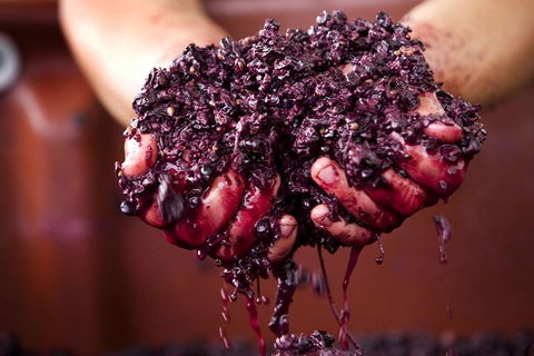 CHEVY CONVERTIBLE Package For 4 -Wine Lunch Cheese & Chocolate From Yarra Valley - Kingaroy Accommodation 5