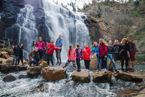 Great Ocean Road And Grampians 2 Day Short Break Escape From Melbourne - Kingaroy Accommodation 5