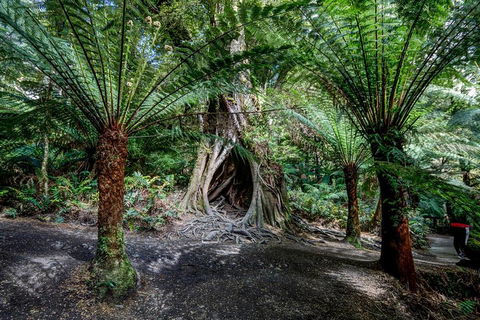 Adelaide To Melbourne 3-Day Trip Through Grampians And Great Ocean Road - Kingaroy Accommodation 0