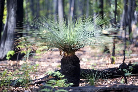 Adelaide To Melbourne 3-Day Trip Through Grampians And Great Ocean Road - Kingaroy Accommodation 4