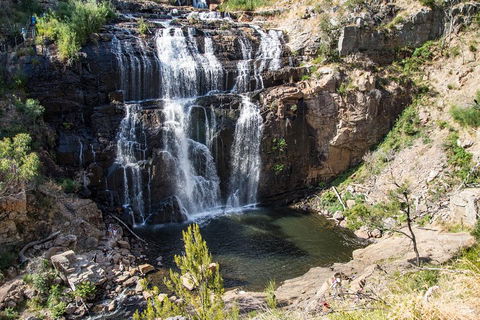 Grampians National Park With Kangaroos And MacKenzie Falls From Melbourne - Kingaroy Accommodation 1