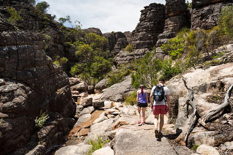 Grampians National Park With Kangaroos And MacKenzie Falls From Melbourne - Kingaroy Accommodation 3