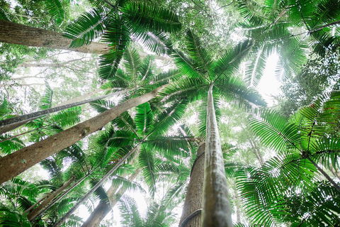 Fraser Explorer K'gari 2-Day Tour - Kingaroy Accommodation 2