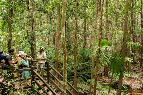 Fraser Explorer K'gari 2-Day Tour - Kingaroy Accommodation 5