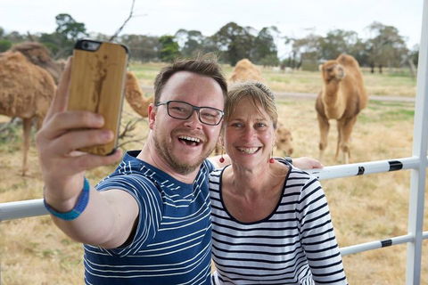 Off-Road Safari At Werribee Open Range Zoo - Kingaroy Accommodation 1