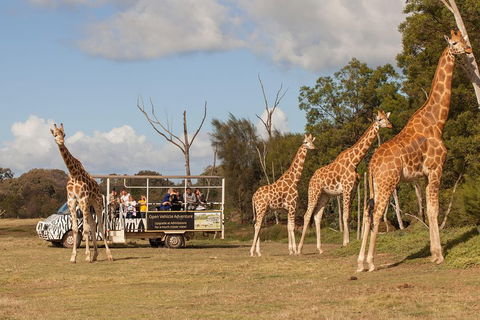Off-Road Safari At Werribee Open Range Zoo - Kingaroy Accommodation 3