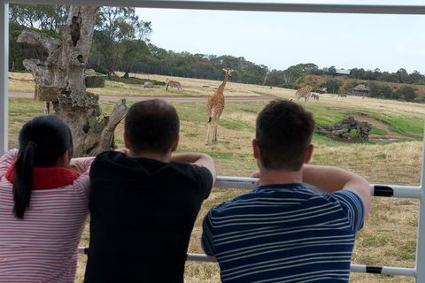 Off-Road Safari At Werribee Open Range Zoo - Kingaroy Accommodation 4