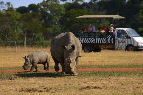 Off-Road Safari At Werribee Open Range Zoo - Kingaroy Accommodation 5