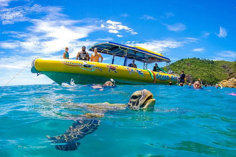 Great Barrier Reef Scenic Flight And Ocean Rafting Whitehaven Beach Day Trip - Kingaroy Accommodation 1