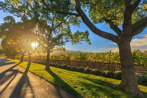 Very Best Of Perth Tour - Wildlife Park & City Highlights Tour - Kingaroy Accommodation 2