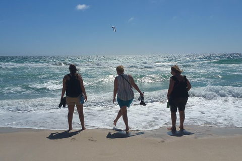 Very Best Of Perth Tour - Wildlife Park & City Highlights Tour - Kingaroy Accommodation 5