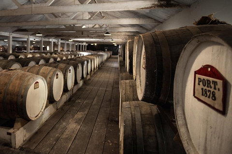 Seppeltsfield Centenary Tour - Kingaroy Accommodation 5