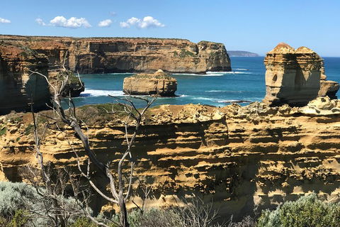Great Ocean Road Reverse Itinerary Tour - Kingaroy Accommodation 1