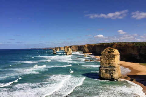 Great Ocean Road Reverse Itinerary Tour - Kingaroy Accommodation 4