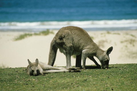 Great Ocean Road Highlights Tour - 2 Days, 1 Night - Kingaroy Accommodation 2