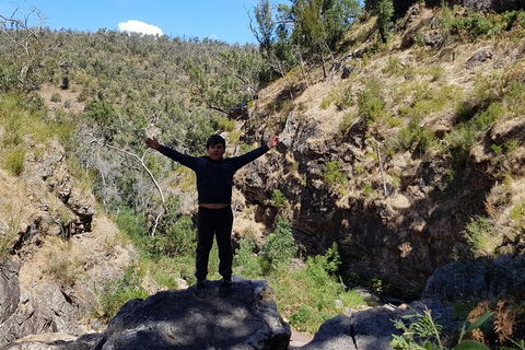 Grampians & Halls Gap - Kingaroy Accommodation 1