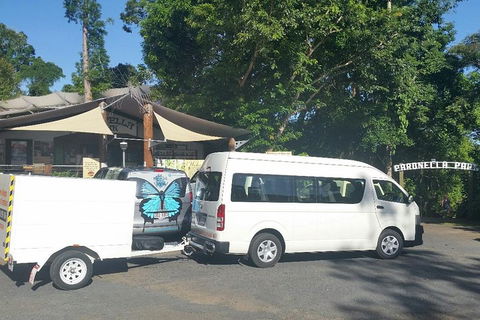 Airport Transfer To Or From Cairns Hotels For Up To 13 People - Kingaroy Accommodation 4