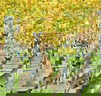 Margaret River Indulge and Discover Day Tour - Kingaroy Accommodation
