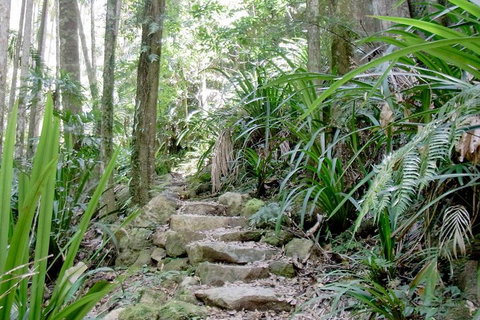 Byron Bay Combo: Minyon Falls And Hinterland Day Trip And Learn To Surf At Byron Bay - Kingaroy Accommodation 3