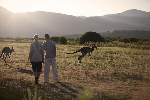 Overnight Daylesford And Macedon Ranges Gourmet Food Trail Tour From Melbourne - Kingaroy Accommodation 1