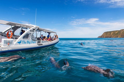 Victor Harbor And McLaren Vale Wine Region Day Tour - Kingaroy Accommodation 1