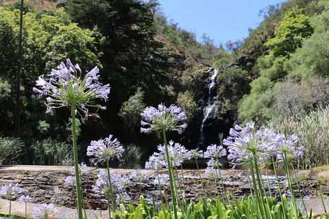 Self-Guided Waterfall Gully To Mount Lofty Hike From Adelaide - Kingaroy Accommodation 3