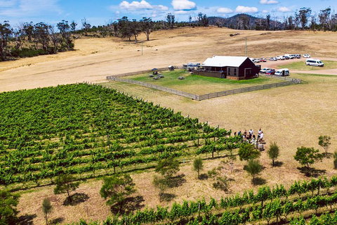 Tasmanian Wine Tour - Kingaroy Accommodation 3