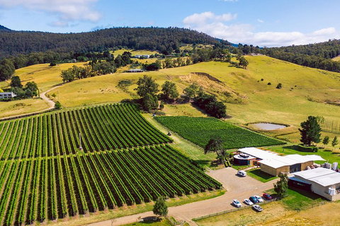 Tasmanian Wine Tour - Kingaroy Accommodation 4
